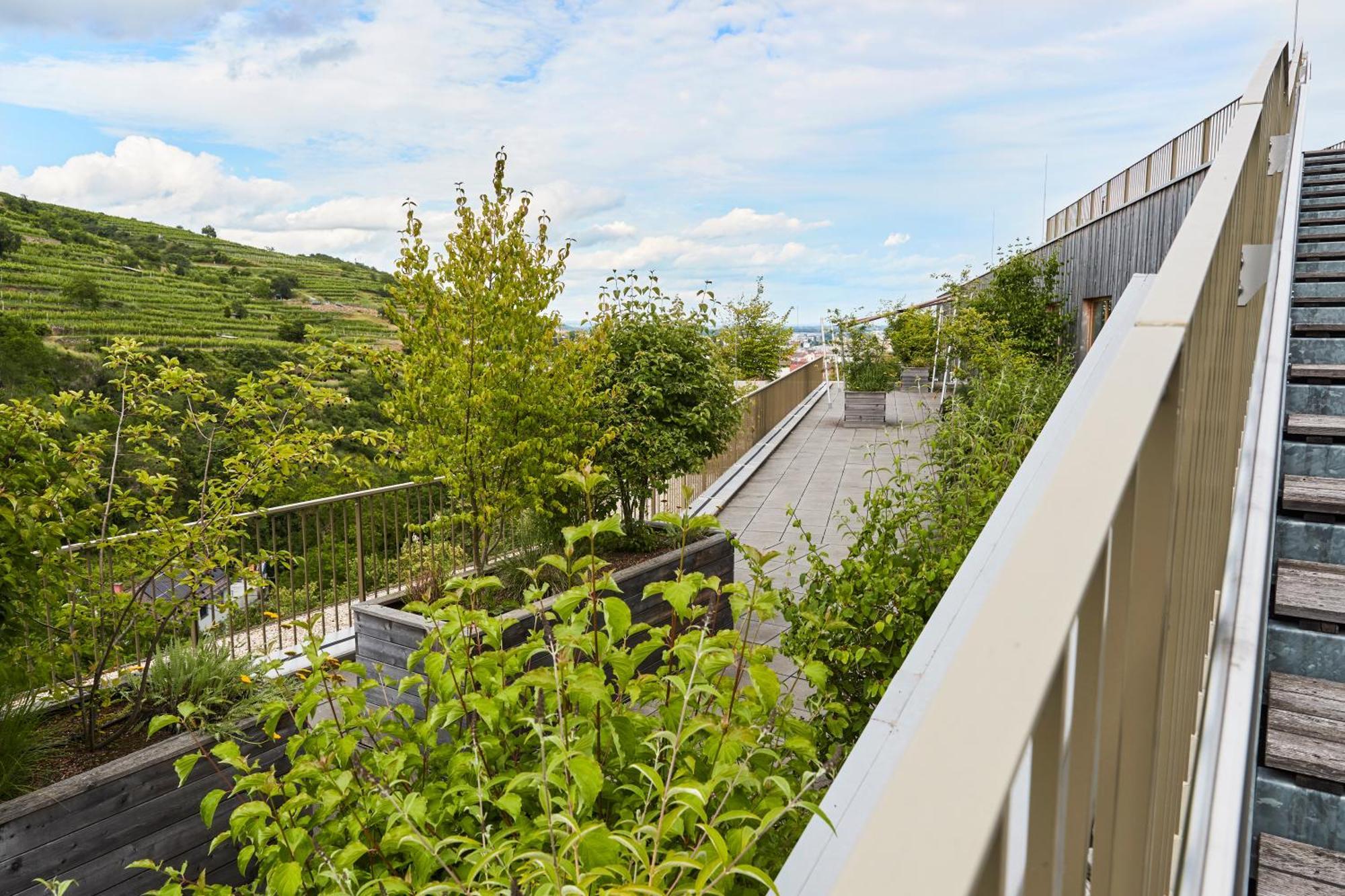 Steigenberger Hotel & Spa Krems Eksteriør bilde
